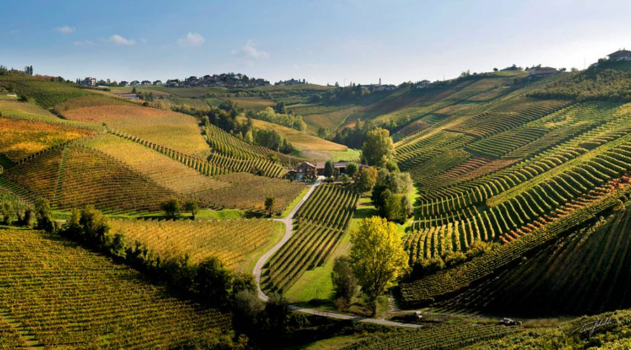 Barolo Landscape